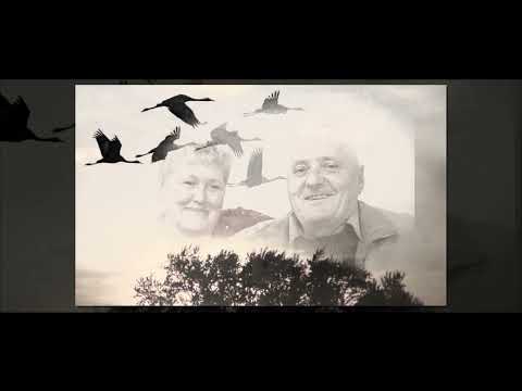 Melodia Tata de Aliona Munteanu