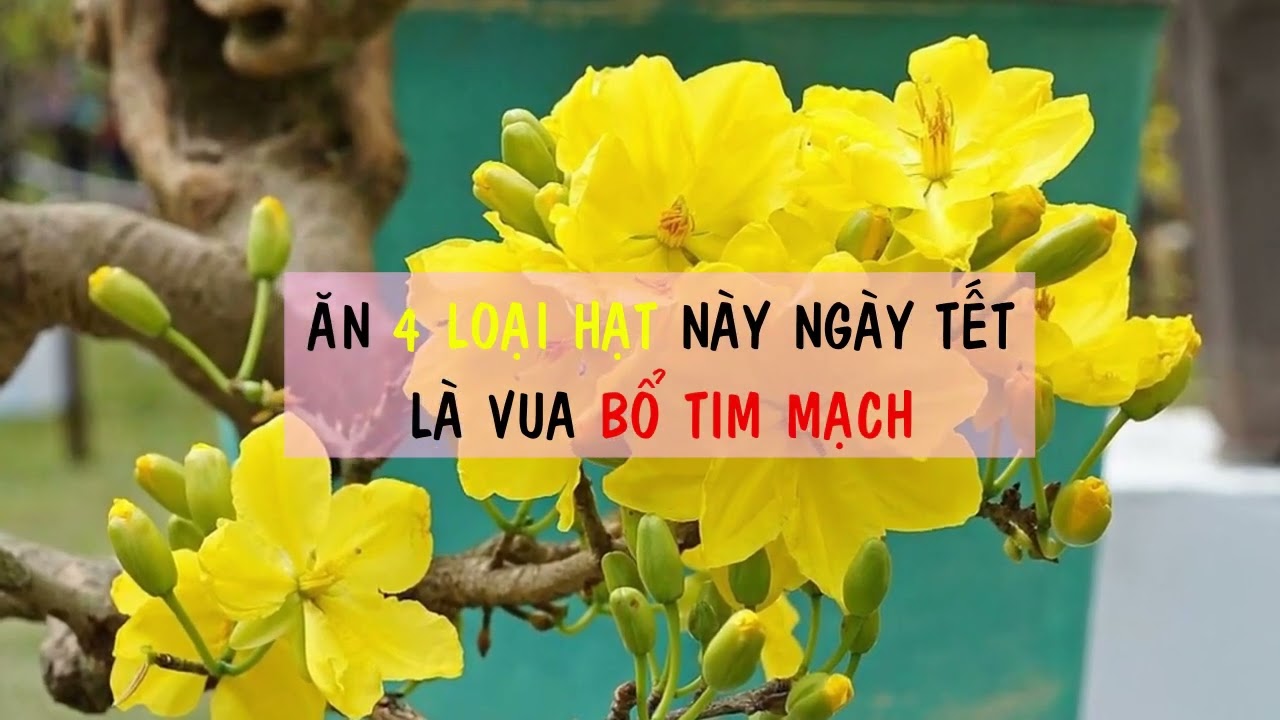 Cảnh Báo: 3 Vật Tuyệt Đối Không Nên Đặt Trong Phòng Ngủ Kẻo Hại Sức Khỏe