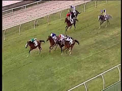 Galoppo 15/06/2018 - 6ª corsa