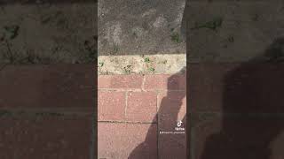 【爆笑（ナニコレ珍百景登録）】噛んでしまう案内板🪧