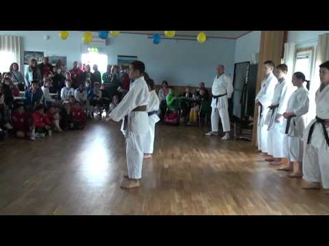VARDAR DAGEN 2010 KARATE.mpg