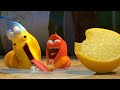 LARVA FRUTA ÁCIDA Dibujos Animados Para Niños WildBrain Videos For Kids