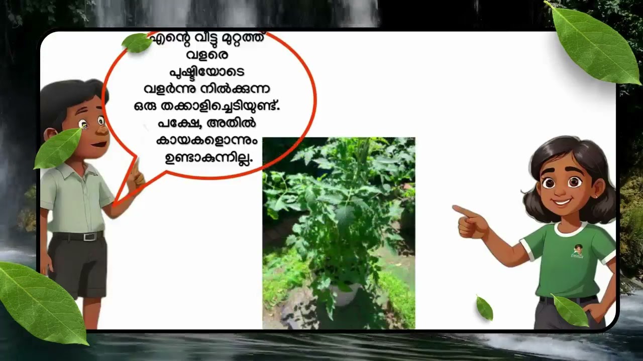 Important points to note while selecting high quality seed