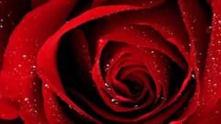 Richard Clayderman. El frágil aroma de las Rosas.