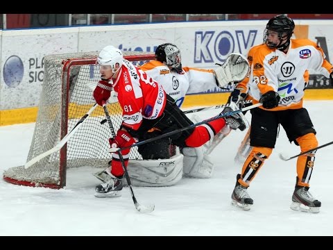 SIJ Acroni Jesenice : HDK Maribor (13.01.2014 - DP SLO)