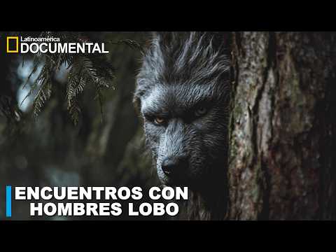LA BESTIA QUE MATÓ AL HOMBRE LOBO | Historias de TERROR de HOMBRES LOBOS en BOSQUES | VOL. 55