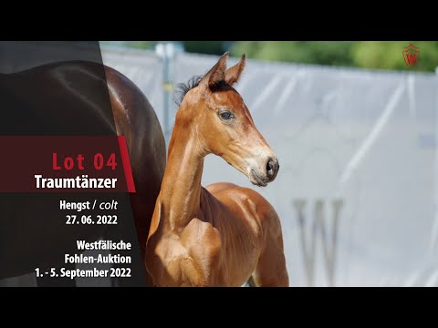 Fohlen-Auktion Lot 04  Traumtänzer Hengst v. Taurus - Fiano