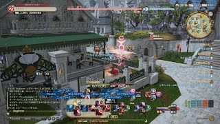 ファイナルファンタジーXIV_20241219094018