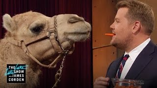 Porcupine, Armadillo &amp; a Camel w/ Jack Hanna, Lucy Liu &amp; Terry Crews