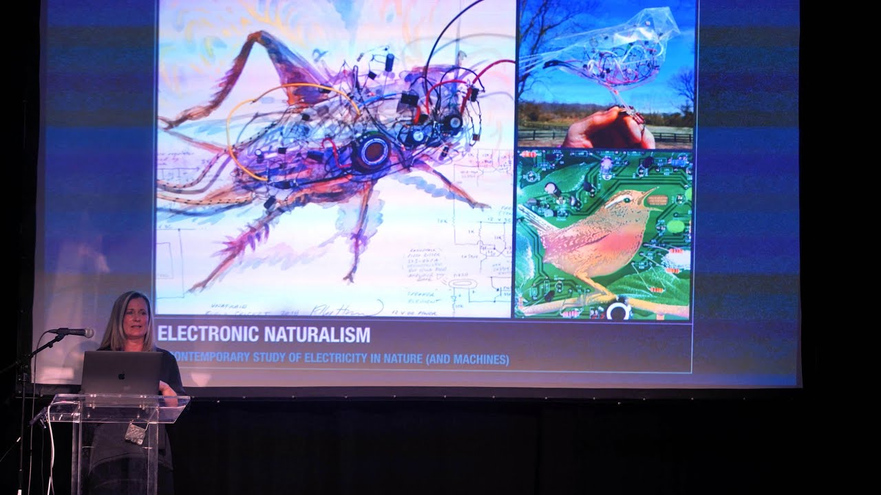 Kelly Heaton - Hacking Nature’s Musicians: The Art of Electronic Naturalism