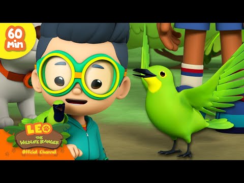 Witness21 Editor  2024 05 20