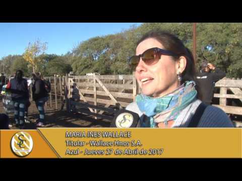 27-04-17 Nota María Inés Wallace - Wallace Hnos S.A. - Azul.
