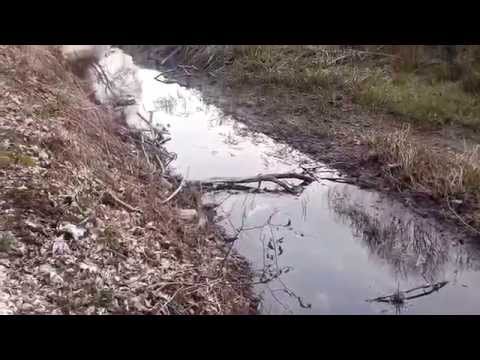 Bernd erklärt die Donauversinkung