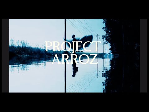 Project Arroz - Daydreamer