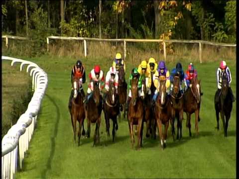 Galopprennbahn Dresden - 25.10.2014 - 4.Rennen