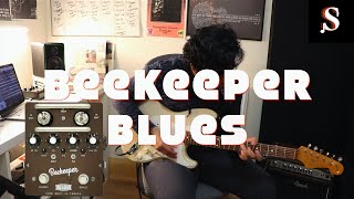 Video thumbnail for Dumble ODS tones! Tubesteader Beekeeper & Strymon Iridium (no talking) by SunnyPlaysGuitar