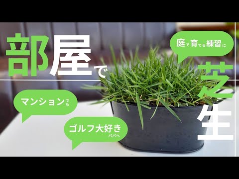 芝生の中にアイランドベッドを作成してデザインする: これがどのように機能するか トピックス