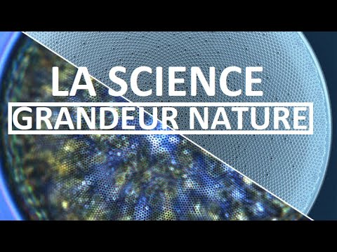 La Science Grandeur Nature | Documentaire