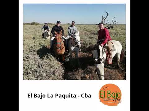 El Bajo La Paquita   Cba