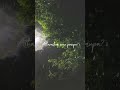 Natta Nadu Rathiriyil Paava Kadhaigal Thangamey Thangamey ️ Love Music Tamilsong Whatsappstatus
