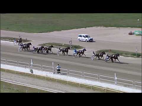 Napoli Trotto 10/09/2023 - 1ª corsa