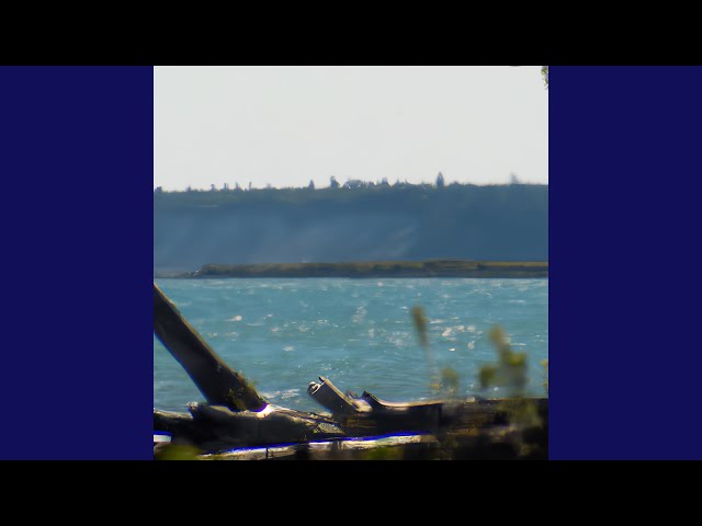 Vídeo relacionado con A Distant Shore (Wheeler Publishing Largeprint Hardcover)