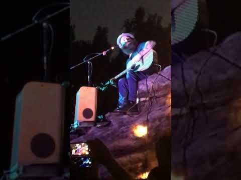 Tim Armstong in a tree