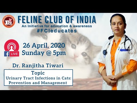 WEBINAR #3- Urinary Tract Infection in Cats