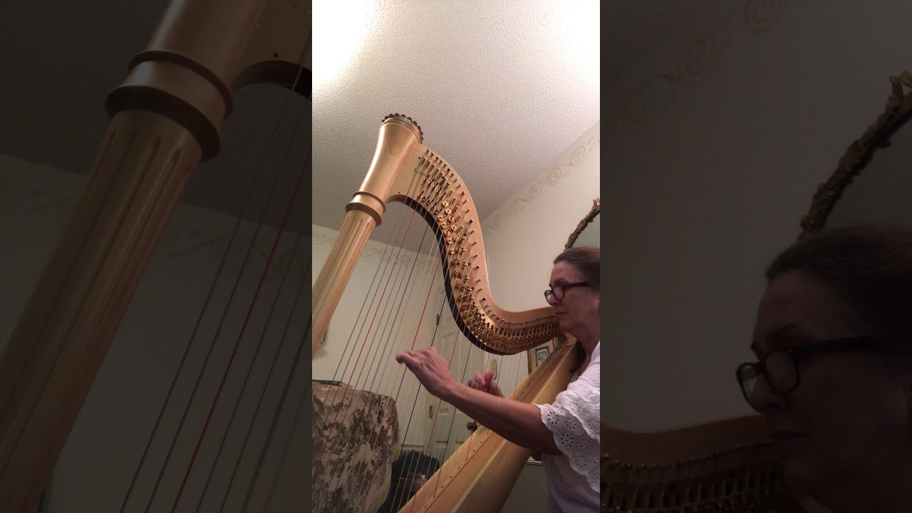 Promotional video thumbnail 4 for Anne Durant Harp