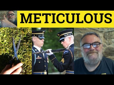 🔵 Meticulous Meaning - Meticulously Examples - Meticulous Definition - GRE Essential Vocabulary
