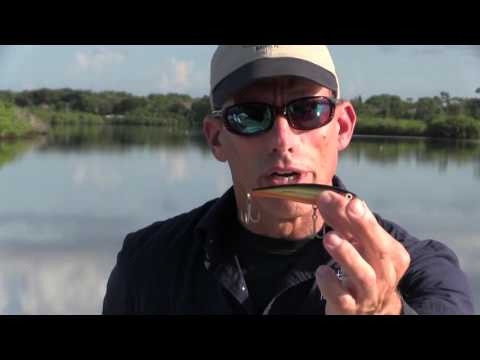 Understanding The Different Types of Crankbaits