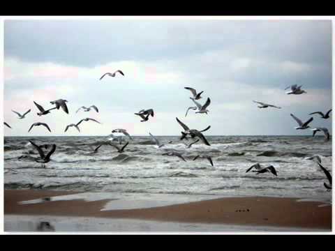 Kinesus - When Stars Collide