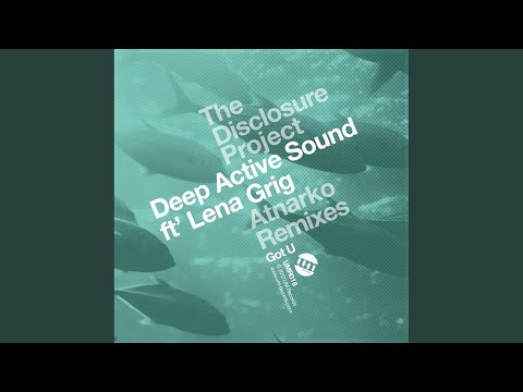 I'm Having Illusions (The Disclosure Project Remix)