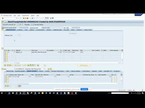 SAP Inventory: How to Check Stock in Transit in SAP? MB5T