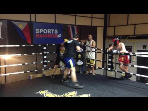 Franck Vs Mohamadreza Hamze