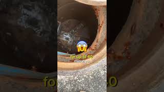 ⚠ Cockroaches in your drains? Take charge now! | Getting rid of cockroaches | Edmonton pest control
