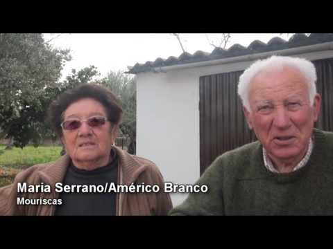 OLIVEIRA MILENAR DE MOURISCAS