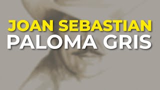 Joan Sebastian - Paloma Gris (Audio Oficial)