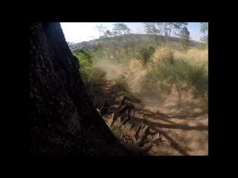 vagnão com sangue no zoi