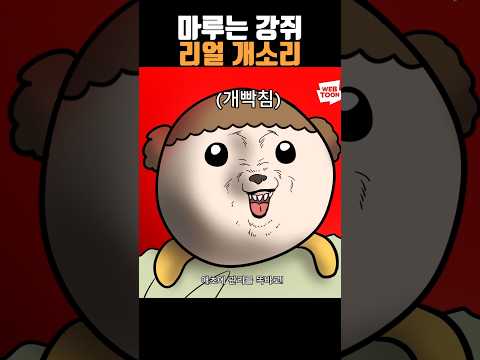 비디오 6