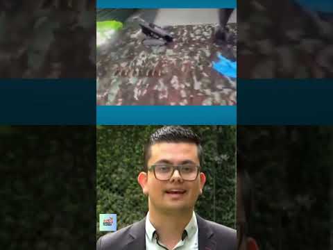 Abaten a 'Pájaro', cabecilla del Clan del Golfo en Antioquia #shorts