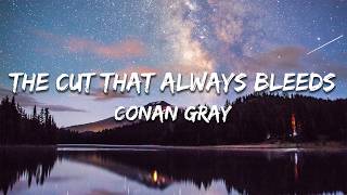 Download lagu Conan Gray - The Cut That Always Bleeds (Lyrics) mp3 Download lagu Conan Gray - The Cut That Always Bleeds (Lyrics) mp3