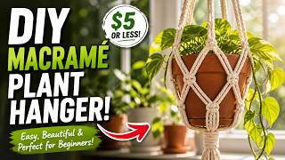 DIY Hanging Macrame Plant Holders from Natural Rope