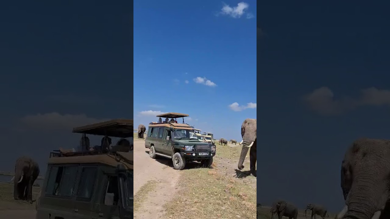 Amboseli Wildlife Safari