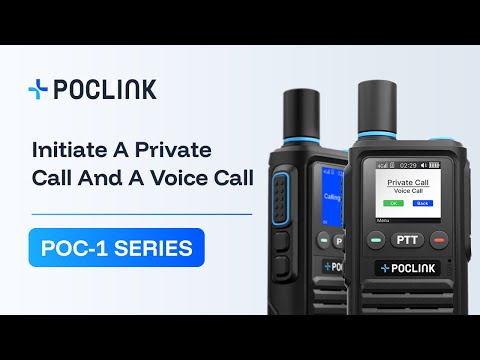 How to Initiate a Private Call and a Voice Call on the Device?
