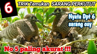 Download lagu How to find a turtledove nest || Those who try it will definitely be addicted mp3