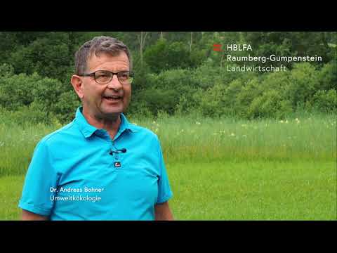 Bodenfächer // Grünland erkennen und verstehen