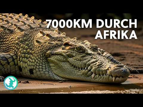 Die gefährlichste Expedition der Welt? | Entlang des Nils mit Levison Wood