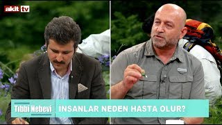 Tıbbi Nebevi - İnsanlar neden hasta olur !
