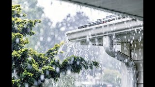 Nice and relaxing rain sound and calm yourself with Rain